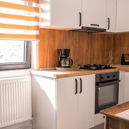 Nina House Apartment Targu Jiu Phòng bức ảnh